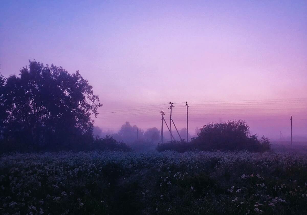 开云官方-特拉奥雷17+6卡特20+8 篮网主场大胜国王终结10连败